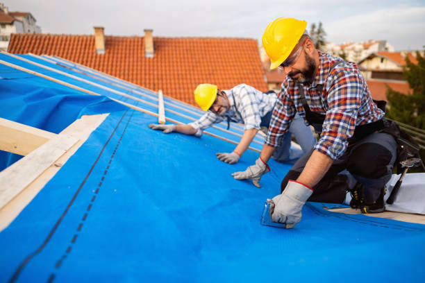 Best Roof Restoration Services  in Park Ridge, NJ