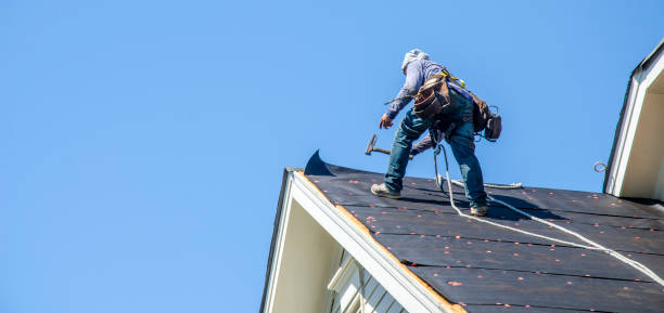 Best Local Roofing Companies  in Park Ridge, NJ